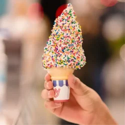metuchen-ice-cream-40a.webp
